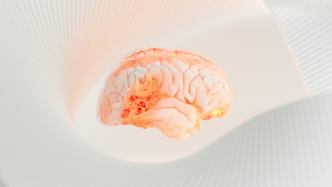 Neurovision Clinic 1