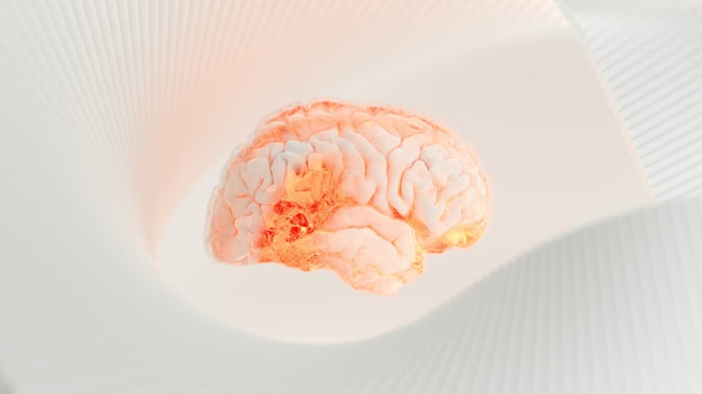 Neurovision Clinic 1